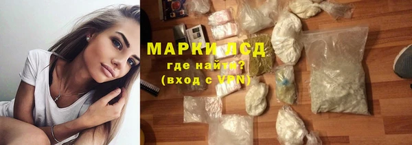 стаф Белокуриха