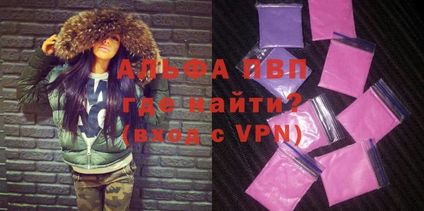 стаф Белокуриха