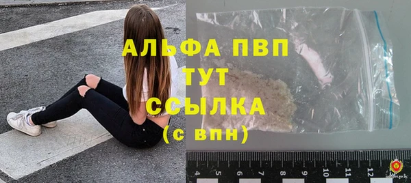 стаф Белокуриха