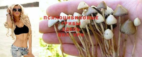 прущий лед Белоозёрский