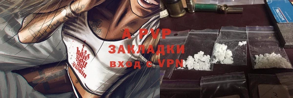 стаф Белокуриха