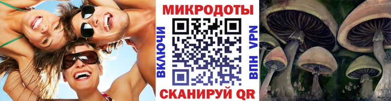 Псилоцибиновые грибы GOLDEN TEACHER  наркотики  Пыть-Ях 
